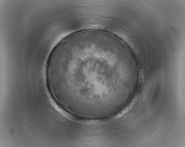 X0000112771038200908271637