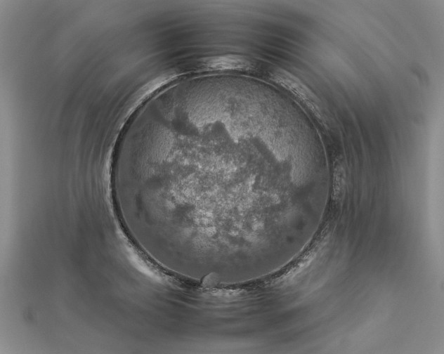 X0000112771039200908271637