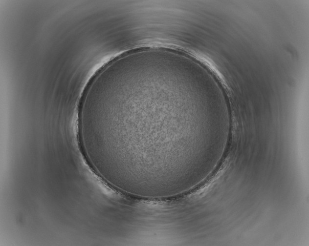 X0000112771040200908271637