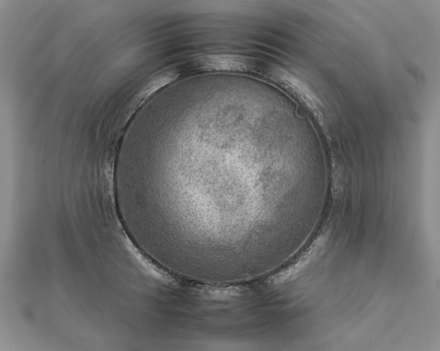 X0000112771041200908271637