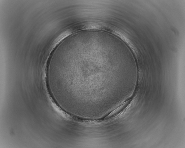 X0000112771042200908271637