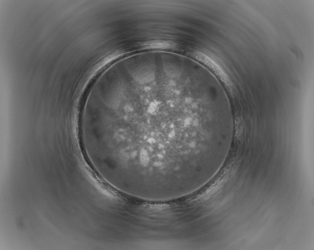 X0000112771043200908271637