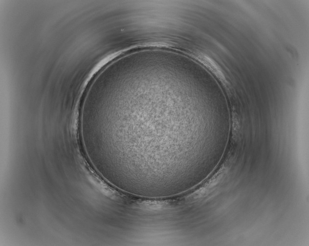 X0000112771044200908271637