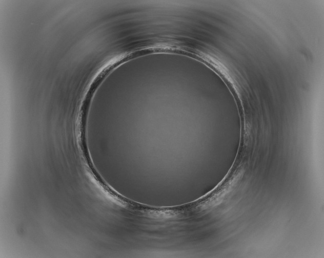 X0000112771045200908271637