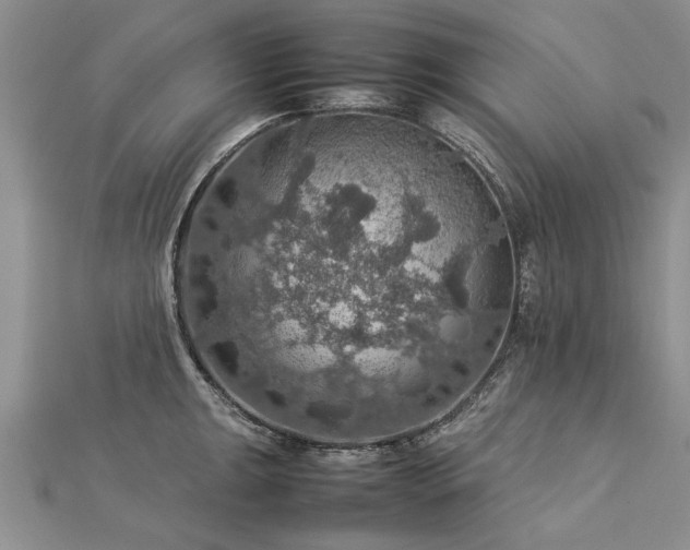 X0000112771047200908271637