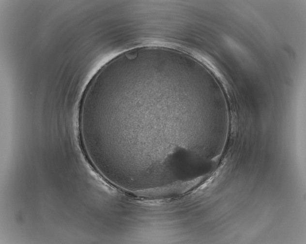 X0000112771048200908271637
