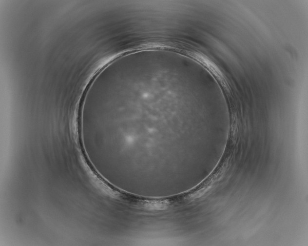 X0000112771055200908271637
