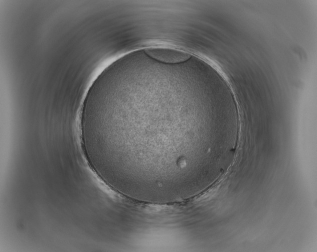 X0000112771056200908271637