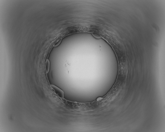 X0000112771057200908271636