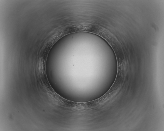 X0000112771058200908271636