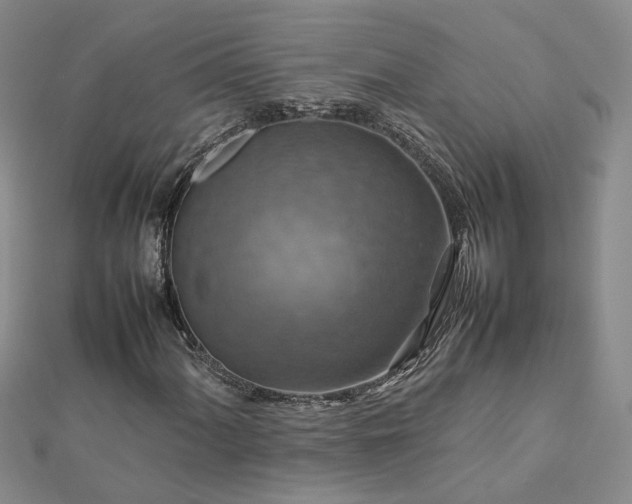 X0000112771060200908271636