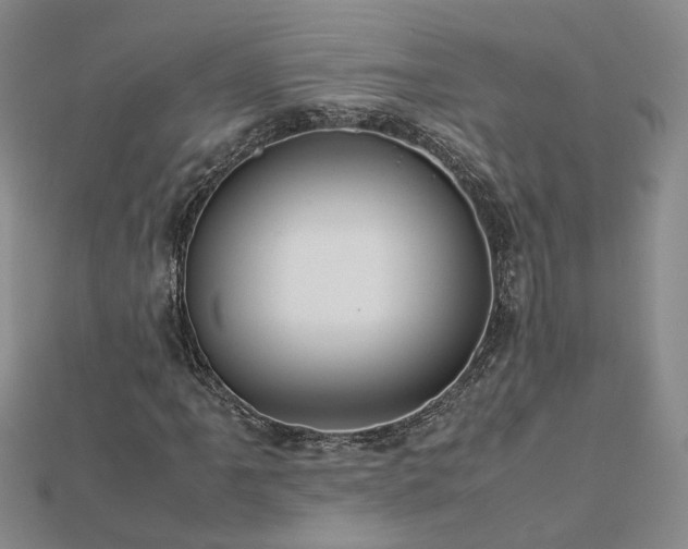X0000112771061200908271636