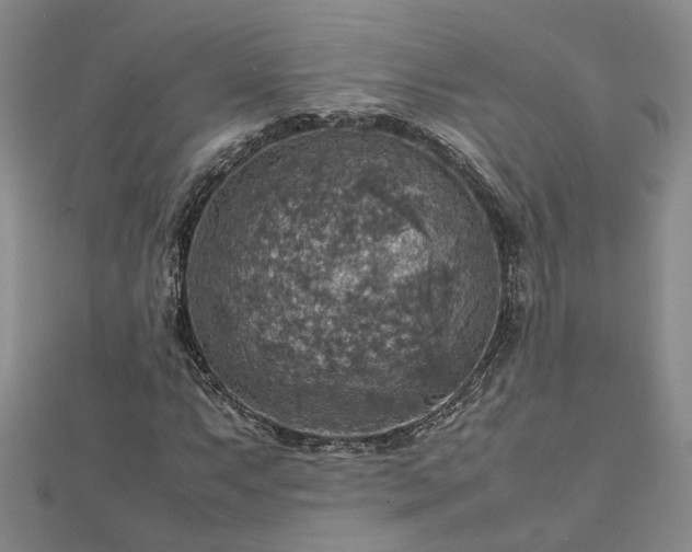 X0000112771063200908271636