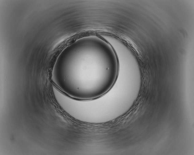 X0000112771064200908271636