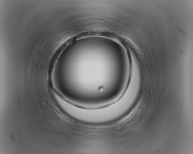 X0000112771065200908271636