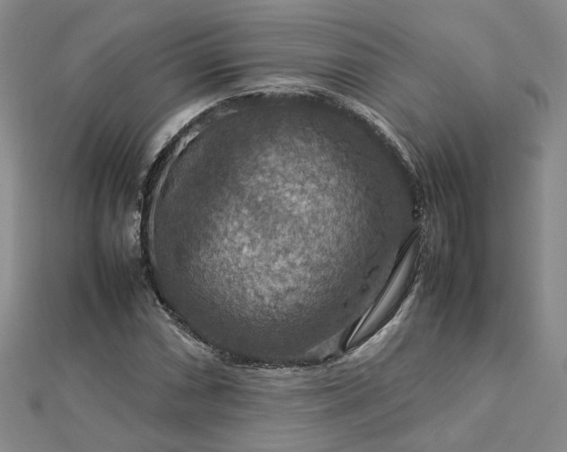 X0000112771066200908271636