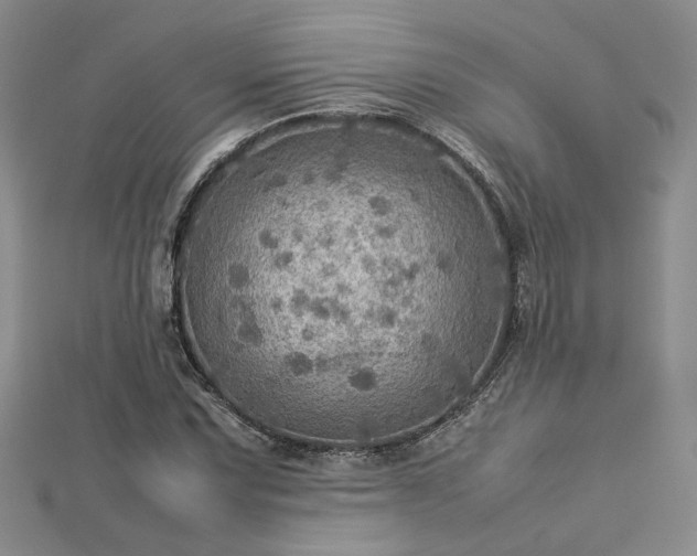 X0000112771067200908271636