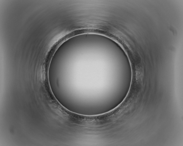 X0000112771069200908271636