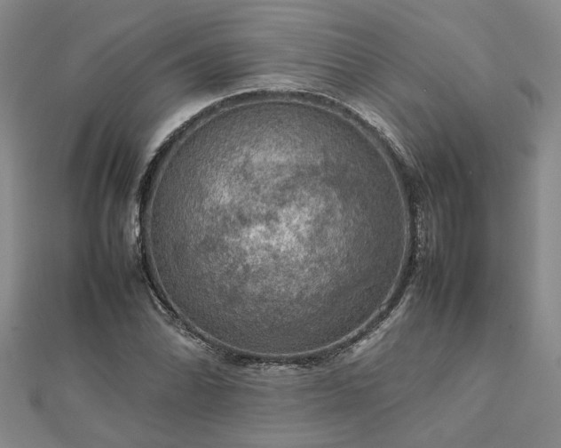 X0000112771070200908271636