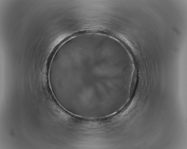 X0000112771071200908271636