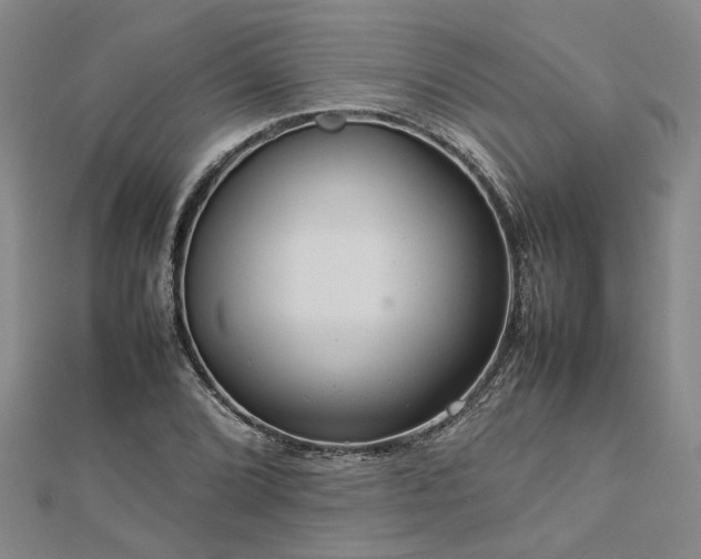 X0000112771072200908271636