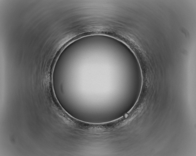 X0000112771073200908271636