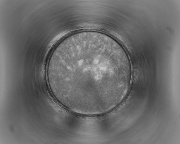 X0000112771074200908271636