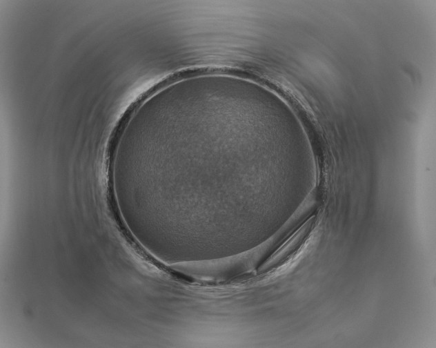 X0000112771077200908271636