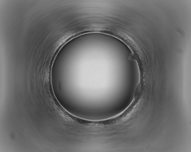 X0000112771081200908271636