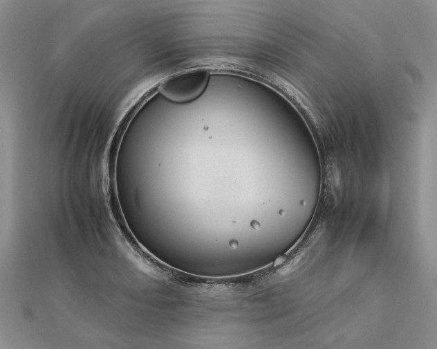 X0000112771082200908271636