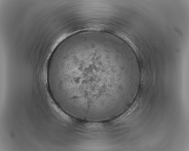 X0000112771083200908271636
