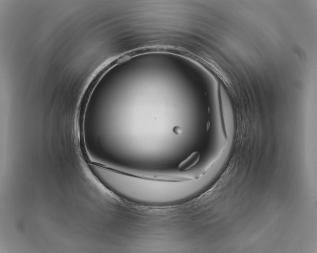 X0000112771084200908271636
