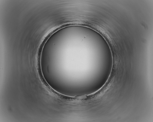 X0000112771085200908271636