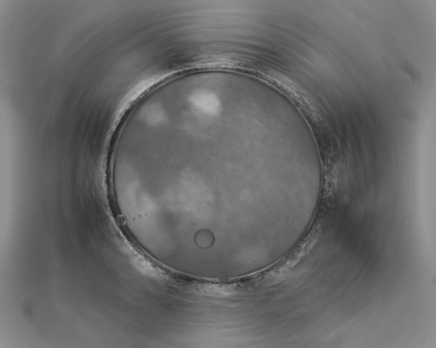 X0000112771086200908271636