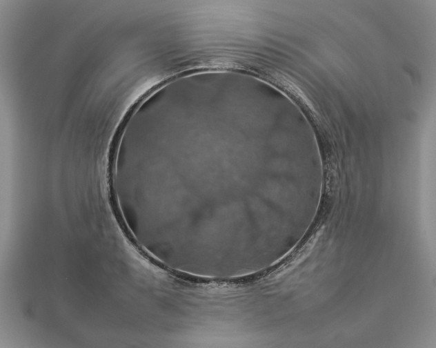 X0000112771087200908271636