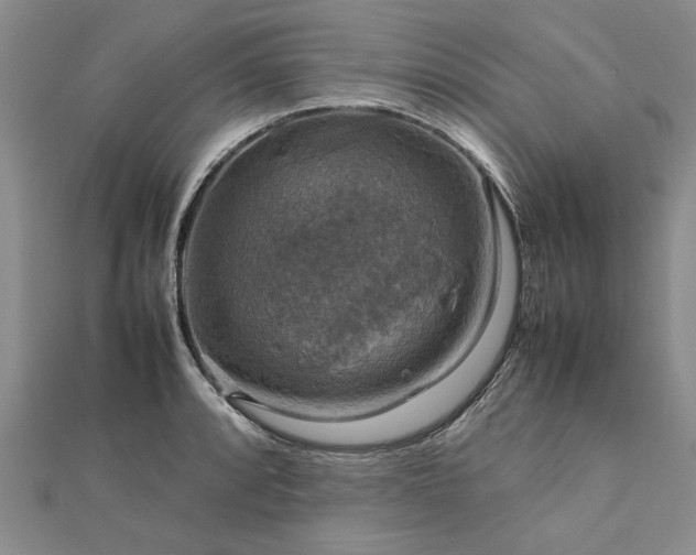 X0000112771088200908271636