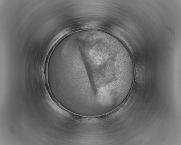 X0000112771090200908271636
