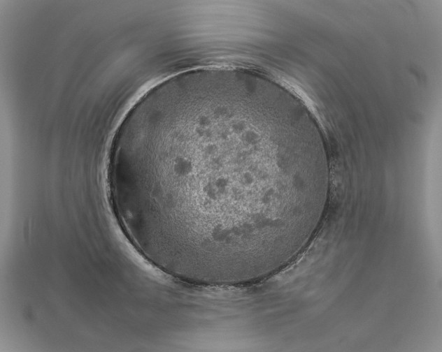 X0000112771091200908271636