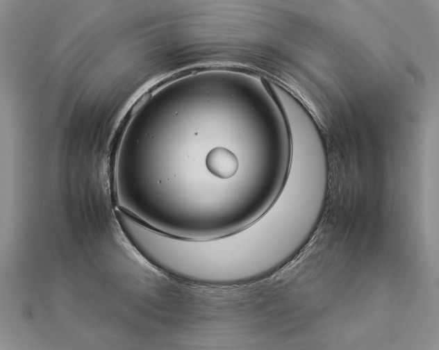 X0000112771092200908271636