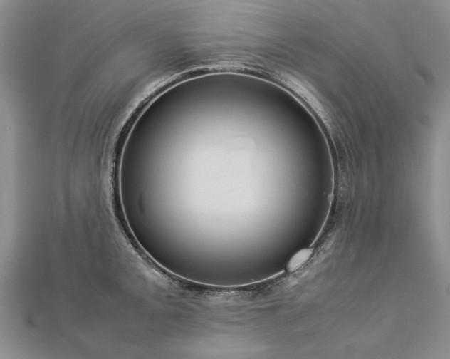 X0000112771093200908271636