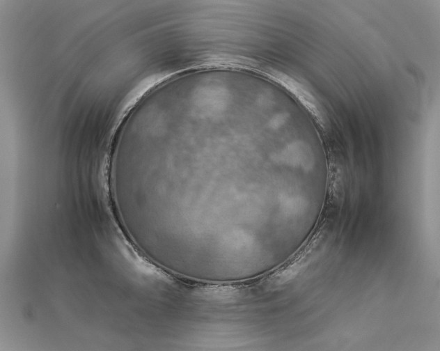 X0000112771094200908271636