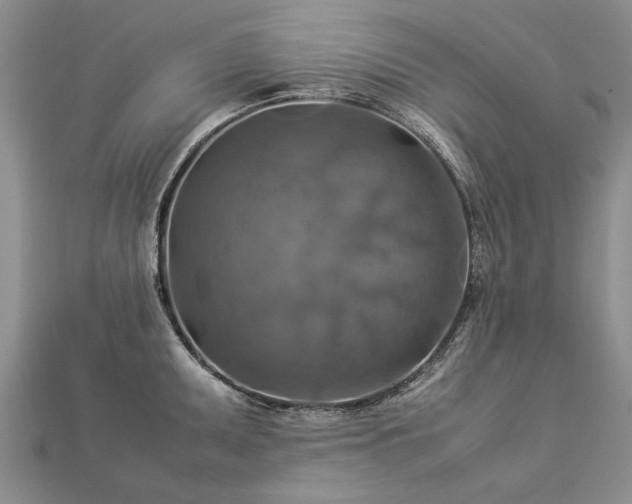 X0000112771095200908271636