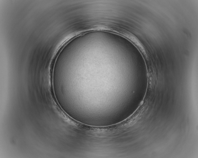 X0000112771096200908271636