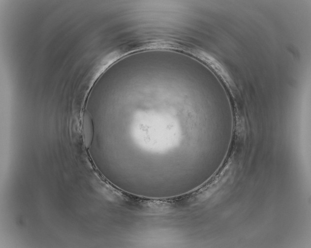 X0000112771097200908271636