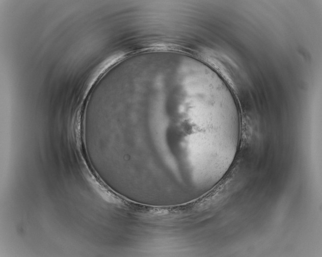 X0000112771098200908271636