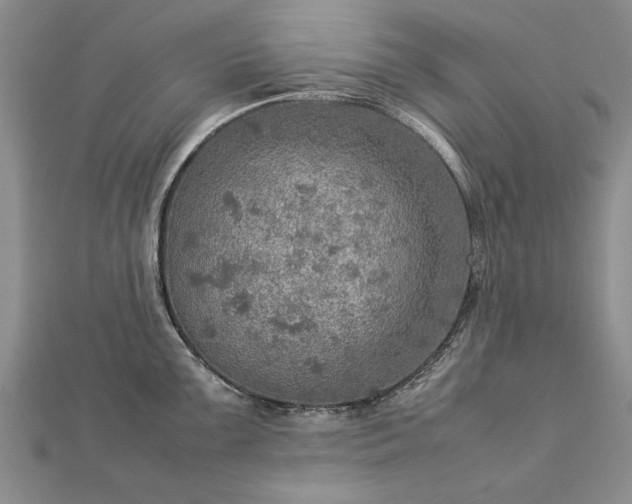 X0000112771099200908271636