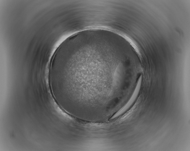 X0000112771102200908271636