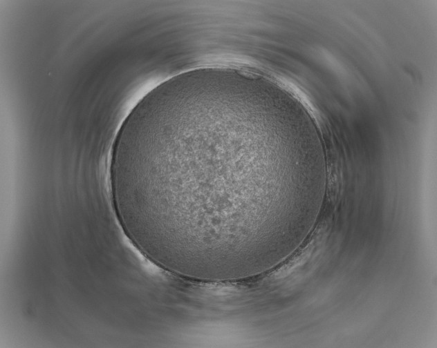 X0000112771103200908271636