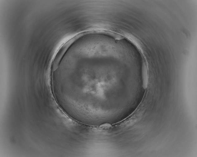 X0000112771104200908271636