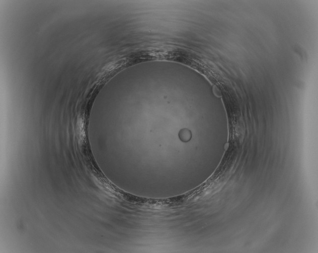 X0000112771106200908271635